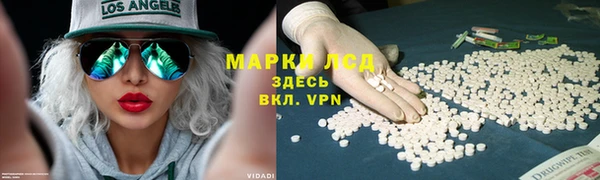 a pvp Белокуриха